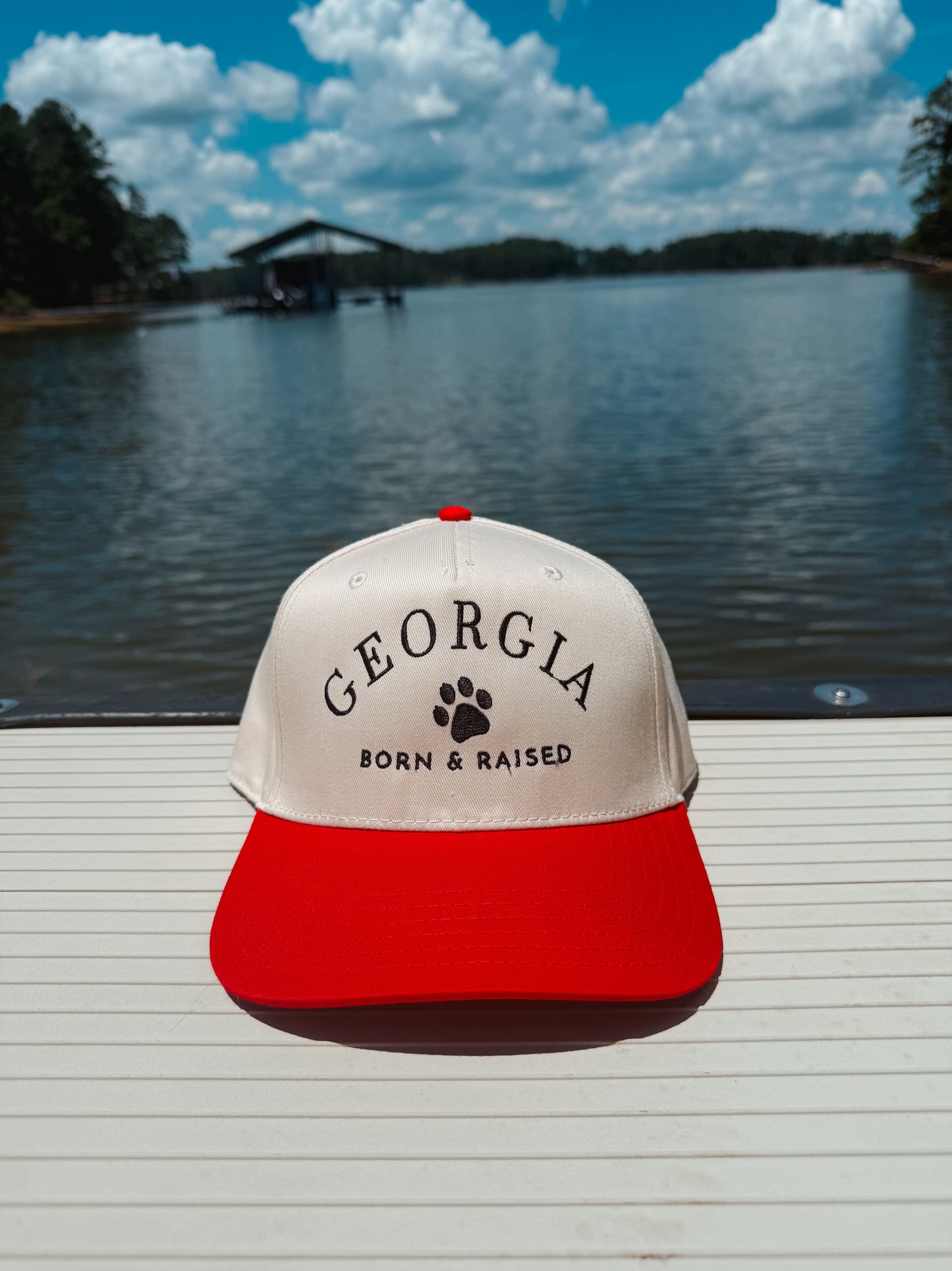 Georgia Born & Raised Hat