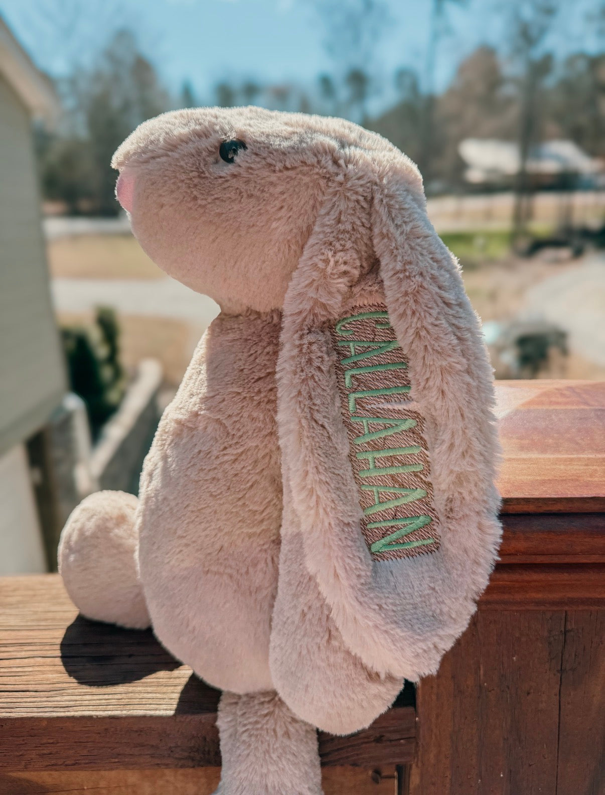Custom Embroidered Easter Bunny
